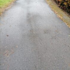 Rejuvenecedor-Bajamar-1-Seal-Mec Rejuvenecedor-Bajamar-1-Seal-Mec