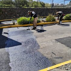 Rejuvenecedor-Con-Monte-2-Seal-Mec Rejuvenecedor-Con-Monte-2-Seal-Mec