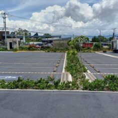 Rejuvenecedor-IICA-2-Seal-Mec Rejuvenecedor-IICA-2-Seal-Mec